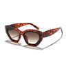 Ryan leopard print irregular cat eye sunglasses women's European and American advanced sense personalized outdoor street sunshade sunglasses