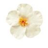 Siumlation Flower Hair Clip For Women And Girl Hibiscus Hair Barrette Hair Accessories For Vacation and Beach Parties