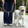 The Multi-functional Collar, Leash, Chest Strap, Adjustable Pet Leash and P Chain for Taking Dogs Out To Prevent Them from Breaking Free