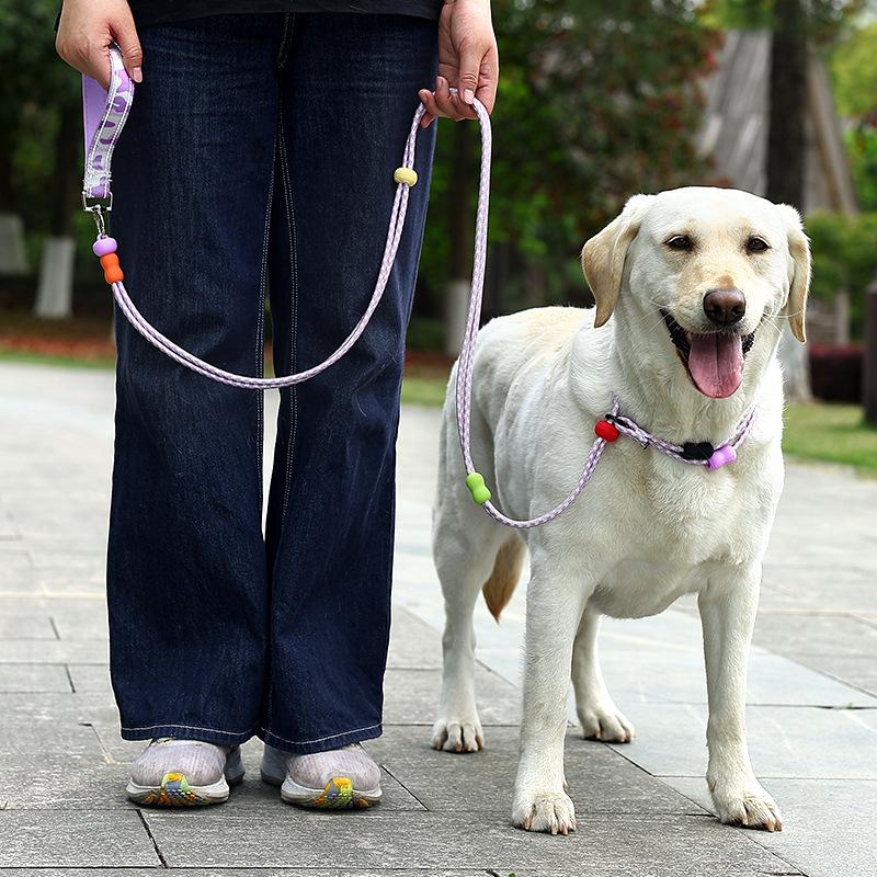 The Multi-functional Collar, Leash, Chest Strap, Adjustable Pet Leash and P Chain for Taking Dogs Out To Prevent Them from Breaking Free