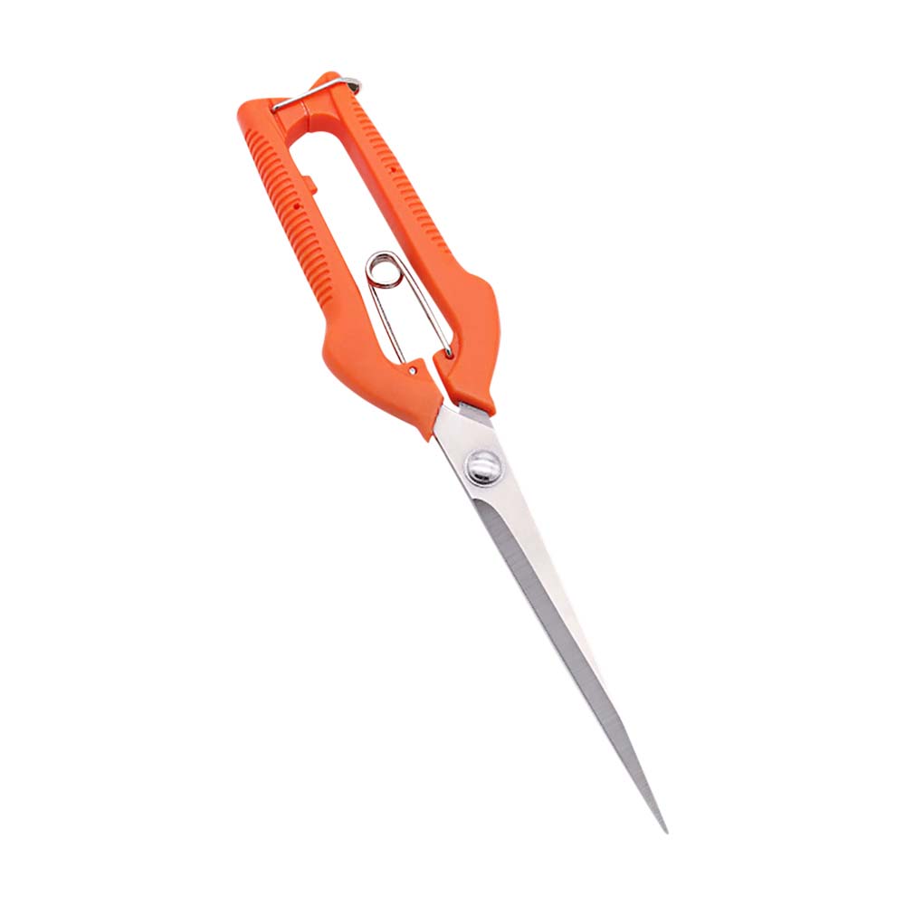 

Секатор для обрезки фруктов Садовые инструменты для сада и огорода Бонсай Профессиональный Столярный Нержавеющая сталь Сбор фруктов Острый оранжевый