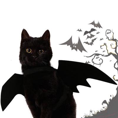 Piękny dla małych zwierząt domowych pies kot skrzydła nietoperza skrzydła na halloween kostium na halloween