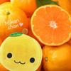 Cute Plush Mascot, Fluffy and Soft Cushion Toy, Soothing Gift, Figurine (Tangerine Yellow)