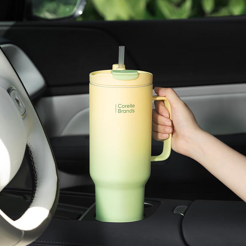 

Corelle Brands VISIONS Spring Mountain 1200ml Dual-Drink Glass Cup