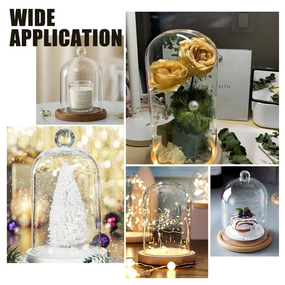 BENECREAT Eternal Flower Glass Dome Cover, 217mm Tall, Cloche, Micro Landscape with Wooden Base, DIY Decorative Display Case, Beige