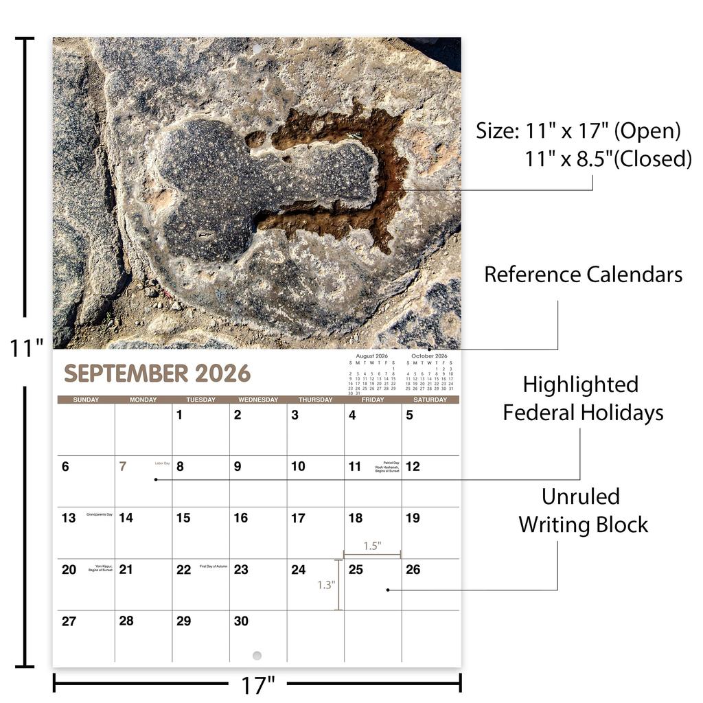 2026 Wandkalender Lustiger Kaktus-Kalender mit dickem Papier Jan. 2026 - Dez. 2026 Humorvoller Planer Gag-Geschenke für Büro Zuhause