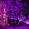 12 Meter LED Pixel String Light 40 Ft for Diwali, Christmas Home Decoration. Heavy Duty Copper Led Pixel String Light Rice String