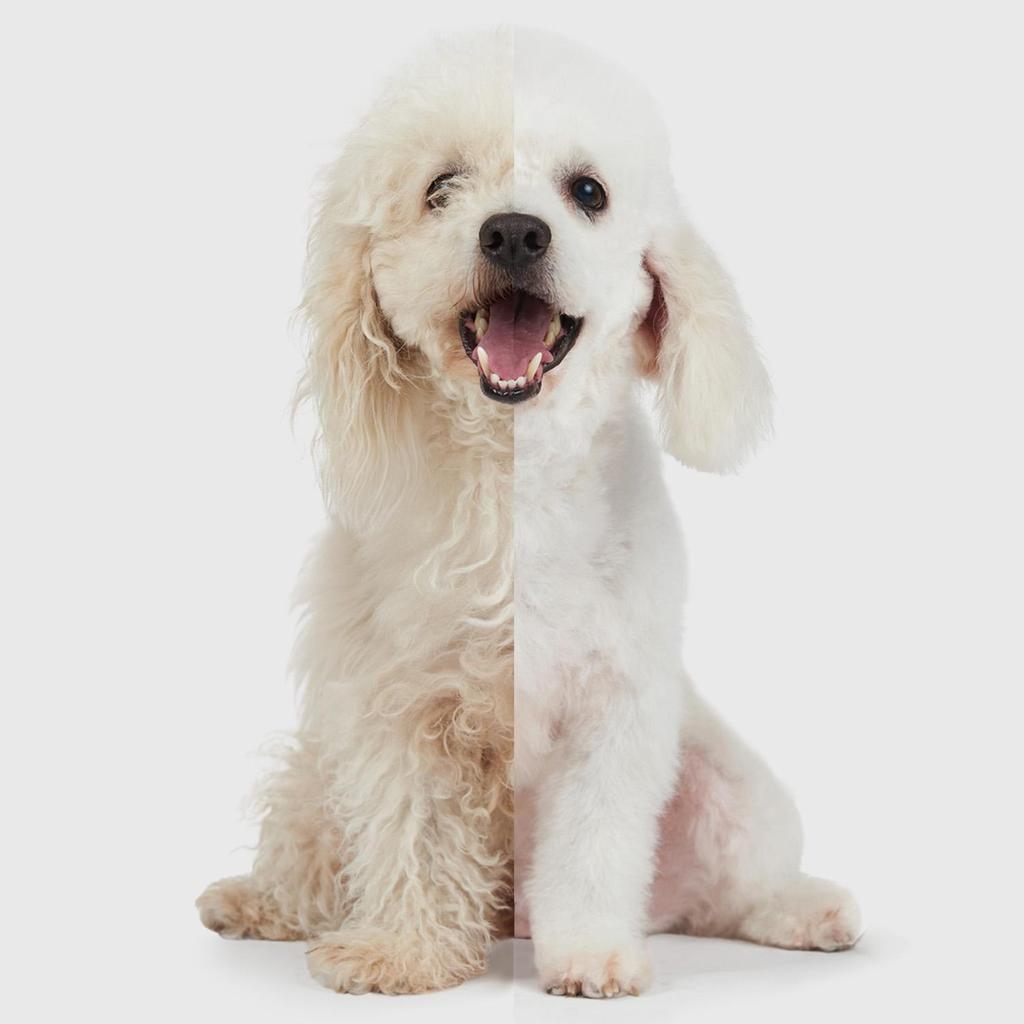 Electric Dog Clipper, Professional Grooming Kit, Pets Hair Trimmers, 3-Speed, Wireless, LED Display