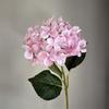 Einzelne Hortensien Esstisch Blume Kunstblume Hochwertiger Strauß Dekoration Wohnzimmer Blumenarrangement Dekoration