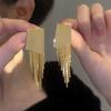 Geometric Irregular Metal Square Tassel 925 Silver Needle Earrings Personality Niche Premium Earrings