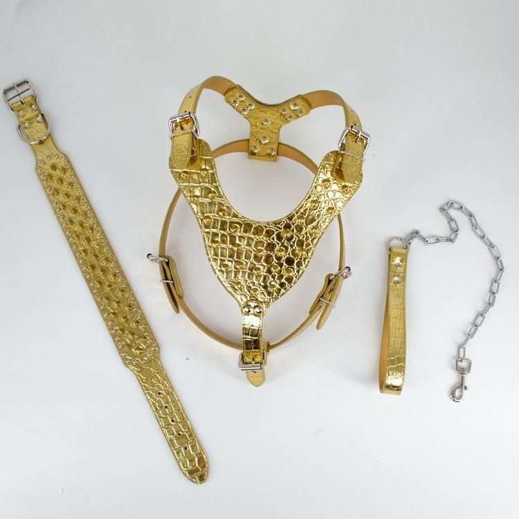 

Шкіряна шлея для собак із шипами, нашийник із заклепками та повідок для середніх собак S 43-51CM