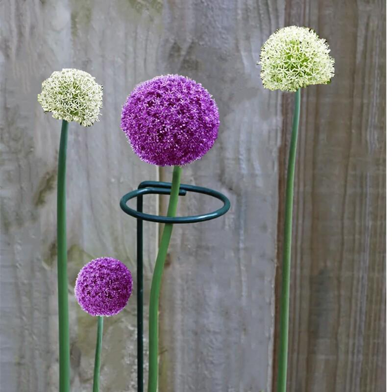 Кованая роза, шпалера, опора для вьющихся растений Height 25cm (Diameter 3.2mm)