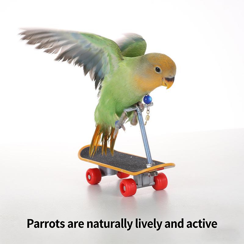 Vogel Papagei Spielzeug Skateboards Kunststoff Reptilien Unterhaltung Trainingswerkzeug Acc Vogelzubehör Rollschuhe