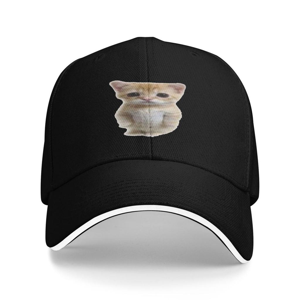 Unisex Baseball Hats El Gato Standing Cat Meme Outdoor Streetwear Summer Sports Baseball Caps Cap Casquette Polychromatic Hats