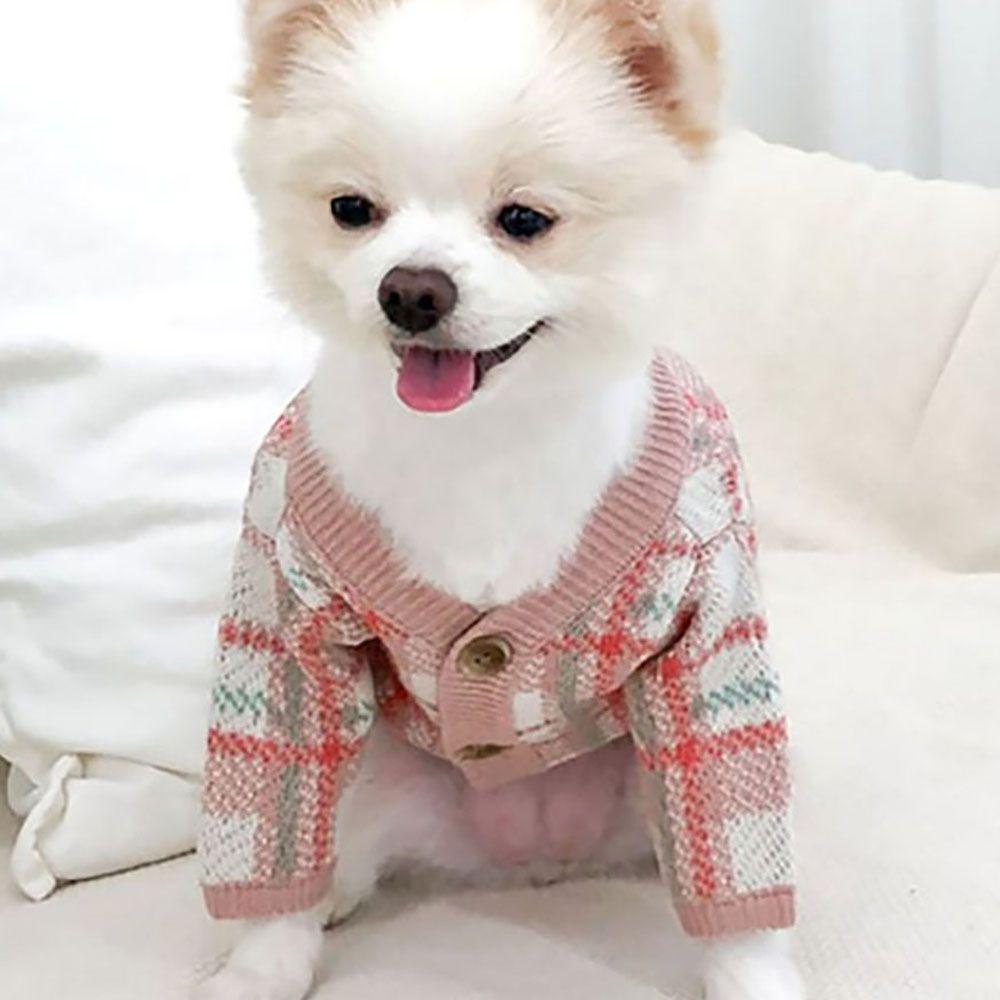 chiweenie dog sweaters