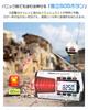 [Recommended by Disaster Prevention Specialists - Upgraded Model] Greeshow Disaster Prevention Radio, Digital Tuning, 5000mAh High Capacity, Multifunc