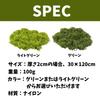 HALSUN Artificial Fake Moss for Moss Bonsai Moss, Green, 100g, Dioramas, Grass, Terrariums, (Green)