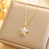 Trendy European & American Zircon Star Pendant Necklace - Exquisite Stainless Steel Clavicle Chain for Women