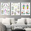 Trigger Points Anatomy Foot Reflexology Chart Study Canvas Painting Poster Prints Wall Art Picture Photo Gift Room Home Decor