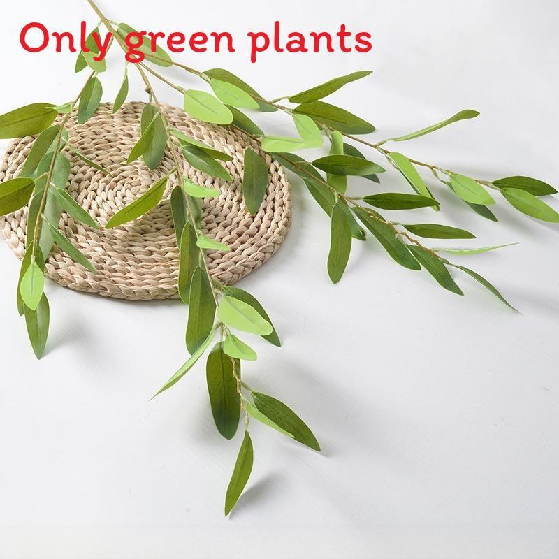 Liebm Deliciosa Monstera And Eucalyptus Citriodora Hook Green Decor Plants