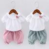 Girls Summer Cotton Linen 2 Piece Set Short Sleeve Shorts Outfit For Baby Toddler 0-4 Years Breathable Casual Clothes