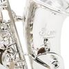 SLADE E-flat Alto Saxophone Premium Brass Body Carved White Shell Keys Saxophone Set with Case Professional Woodwind Instruments