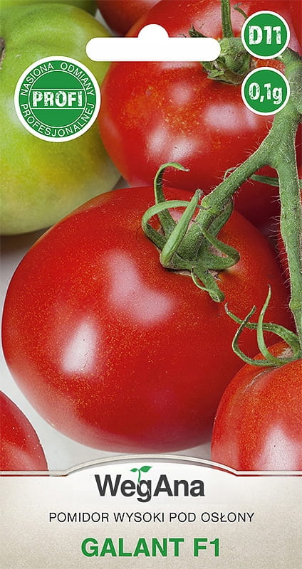 Große Tomate Galant F1 0,1 g Tomatensamen - WegAna