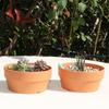 Gartenzubehör Nachahmung Terrakotta Topf/Schale für Pflanzen Blume Bonsai Kaktus Runder Pflanztopf/Schale mit Drainageloch B03E