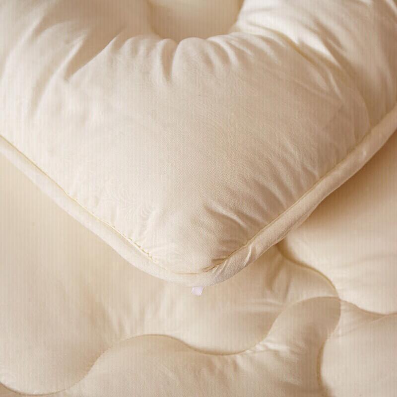 Hengyuanxiang Antibacterial Fiber Quilt