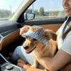 Breathable Dog Fisherman Hat Adjustable Dog Visor Hats Comfortable Cat Sunscreen Hat  Spring Summer