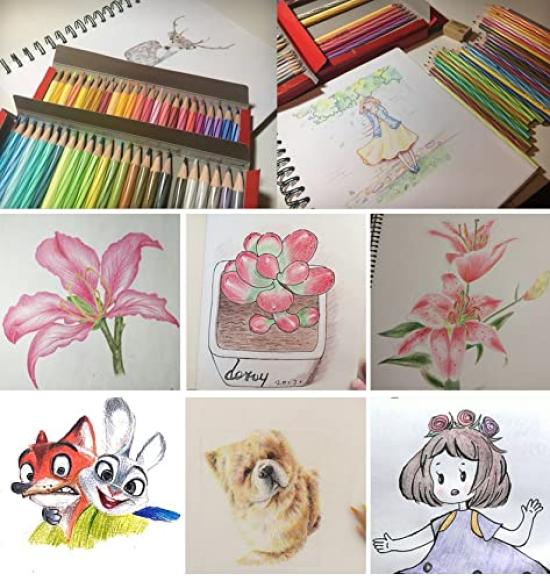 Staedtler Luna Watercolor Pencils Watercolor 48 (Luna Pencils, Colors) [Used]