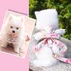 Sweet Dog Cat Pet Supplies Clothes Cat Leashes Bows Dog Chest and Shoulder Straps Dog Walkers