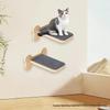 In-Stock Wall-Mounted Cat Tree & Climbing Frame with Jumping Platform, Perch, Hammock, and Stairs