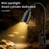 Pești și animale marine – Iluminare acvariu