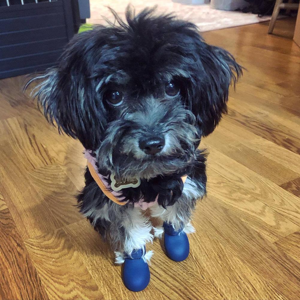 Silicone Dog Boots Waterproof Anti-Slip Pet Shoes 2pcs Paw Protectors All Weather Cute Dog Walking Shoes