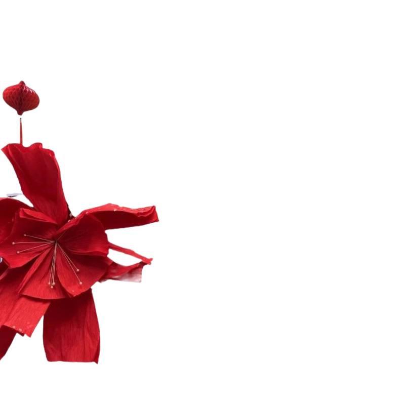 Woman's Bedroom & Living Room Wedding Decoration Set with Tinsel & Morning Robe Background