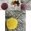Plastic Allium Giganteum Wedding Decoration With Large Leaf Ball For Home And Event Decor