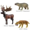 Carolata Ausgestorbene Tierfiguren, 3D-Enzyklopädie (Tiere der Känozoischen Ära / 8 Arten / Inklusive Anleitung) Realistische Figuren-Box Spielzeug, Lernspielzeug,