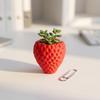 Sweet Strawberry Storage Box Ornaments Mini Plant Pot Cute Fruit Shaped Desktop Planter  Office