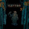 Raptor A Sokol Graphic Novel by Dave McKean Paperback Book 9781506720630