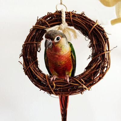 Papuga naturalny rattanowy pierścień wiszące huśtawki zabawki stojak na okonie zabawki do żucia akcesoria do klatek dla ptaków Pet