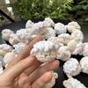 3cm Ručně dopletený Mini Zvířátko Pletený Králík Kuřata Kočka Pes Klíčenka Přívěsek Dárek pro kamarádku a nejlepší kamarádku pro Ženy Dívky