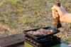 Ikenaga Iron Works Steak Gas Fire Made In Sukikuwa Steak 11321 Plate, Only, Japan,