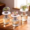Clear Nursery Pots With Lid Plastic Seed Starting Pots With Drainage Hole Plant Nursery Pots Seed Starter Gardening Seedling Cup