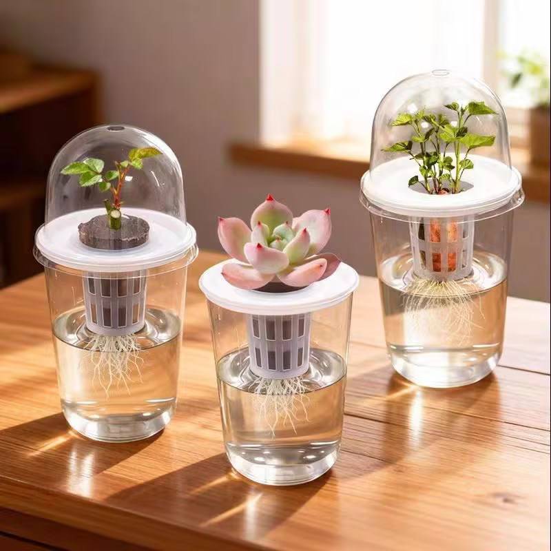 Clear Nursery Pots With Lid Plastic Seed Starting Pots With Drainage Hole Plant Nursery Pots Seed Starter Gardening Seedling Cup
