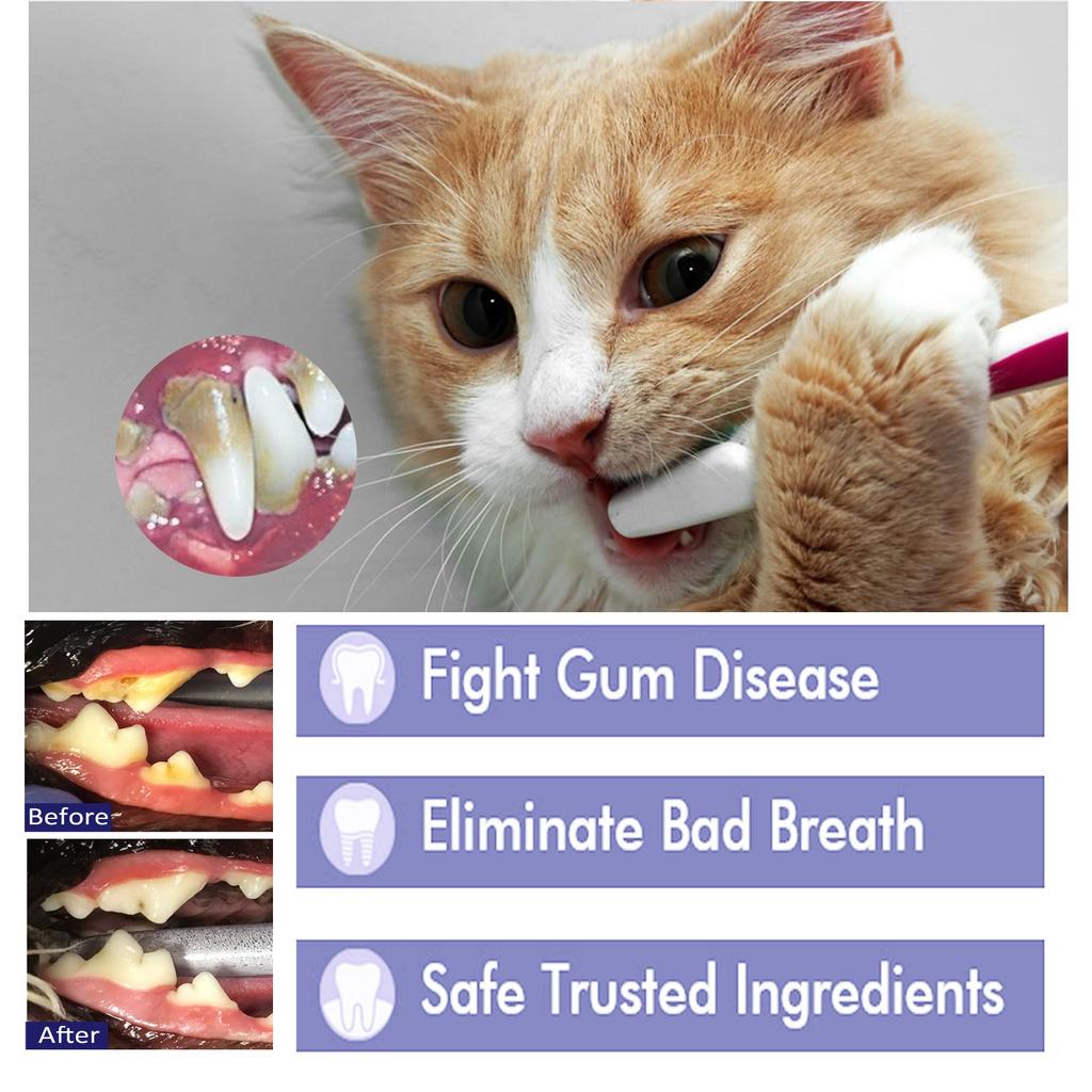 Pet Toothpaste For Cats And Dogs Pet Oral Cleaning Paste Plaque And Tartar Cats, Cats And Dogs Clean Oral Odour Tartar Stains Teeth