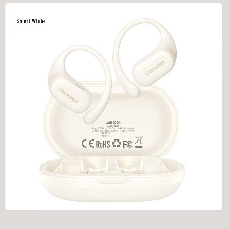 Lanston TS19 Open-Ear Sport Bluetooth Ear Hook Headphones