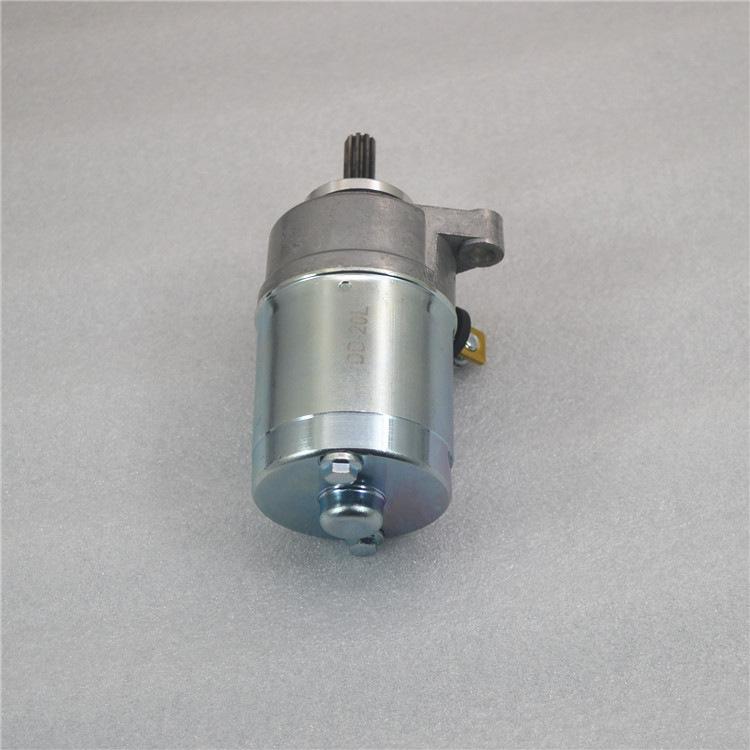 YS150-5 Feizhi 150/YBR150 Motorcycle Starter Motor Accessory