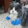 Realistic Cat Cosplay Muscle Arms Funny Cat Green Giant  Arm New Cat Muscle Arms  Cat Costume