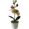 Fake Phalaenopsis Orchid In Decorative Pot for Indoor Spaces Living Room Office Bedroom Tabletop Shelf Styling